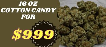 16 Oz Cotton Candy Kush $999